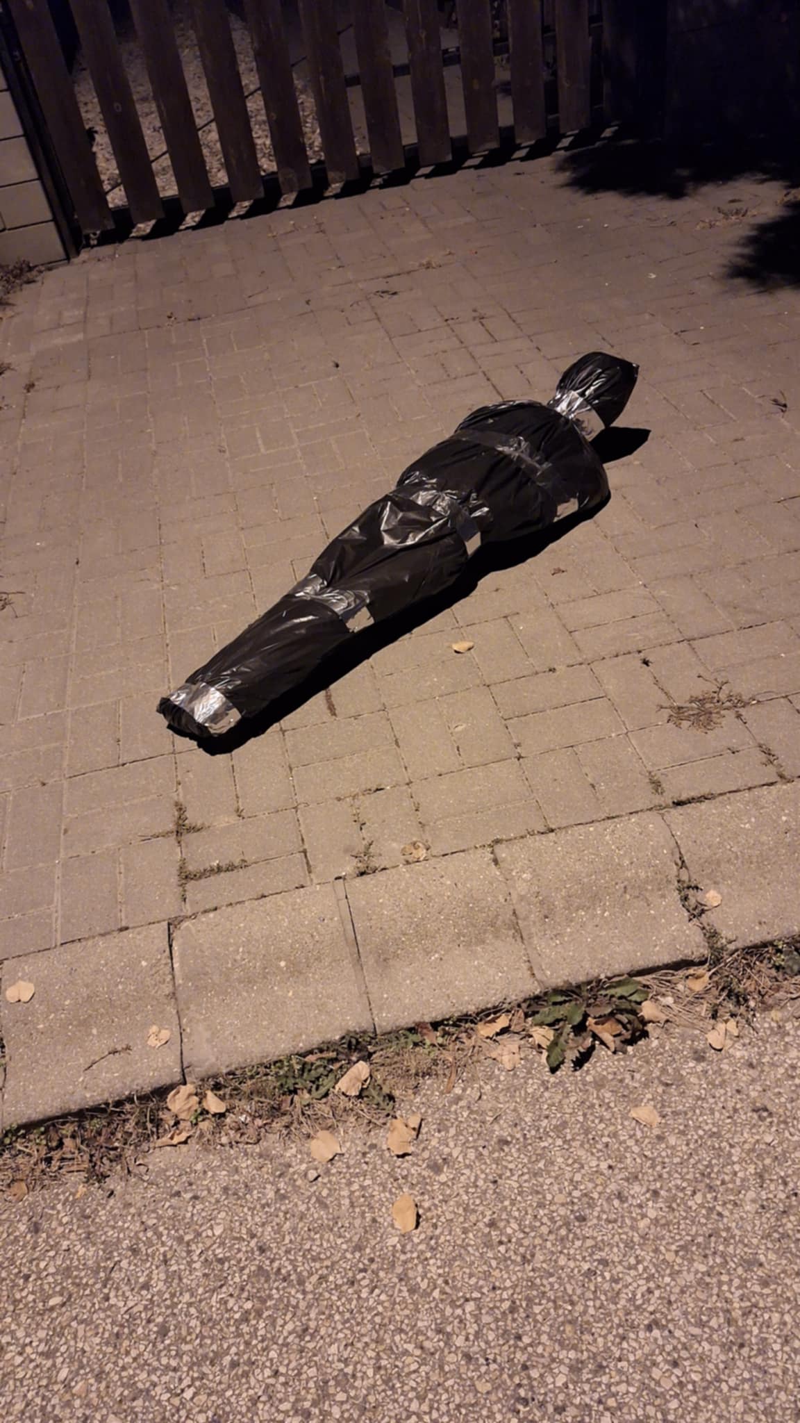 A Te Hullád (2db)
